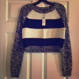 Express Crop Sweater